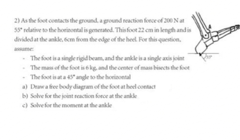 2) As the foot contacts the ground, a ground reaction force of 200 Nat
55* relative to the horizontal is generated. This foot 22 cm in length and is
divided at the ankle, 6cm from the edge of the heel. For this question,
assume:
- The foot is a single rigid beam, and the ankle is a single axis joint
- The mass of the foot is 6 kg, and the center of mass bisects the foot
- The foot is at a 45° angle to the horizontal
a) Draw a free body diagram of the foot at heel contact
b) Solve for the joint reaction force at the ankle
c) Solve for the moment at the ankle