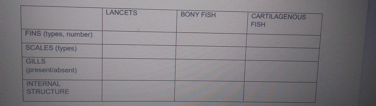 LANCETS
BONY FISH
CARTILAGENOUS
FISH
FINS (types, number)
SCALES (types)
GILLS
(present/absent)
INTERNAL
STRUCTURE
