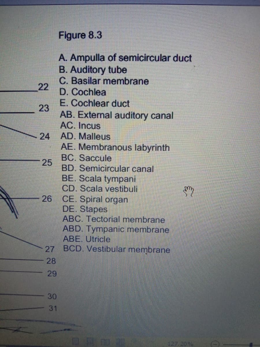 Figure 8.3
A. Ampulla of semicircular duct
B. Auditory tube
C. Basilar membrane
22
D. Cochlea
E. Cochlear duct
23
AB. External auditory canal
AC. Incus
24 AD. Malleus
AE. Membranous labyrinth
BC. Saccule
25
BD. Semicircular canal
BE. Scala tympani
CD. Scala vestibuli
26 CE. Spiral organ
DE. Stapes
ABC. Tectorial membrane
ABD. Tympanic membrane
ABE. Utricle
27 BCD. Vestibular membrane
28
29
30
31
127.20%
