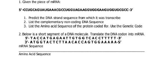 1. Given the piece of MRNA:
5'-CCUGCAGUAUGAAACGCCUGGUAGAAGGUGGGAAGUGGUGCGCC-3'
1. Predict the DNA strand sequence from which it was transcribe
2. List the complementary non-coding DNA Sequence
3. List the Amino acid Sequence of the protein coded for. Use the Genetic Code
2. Below is a short segment of a DNA molecule. Translate the DNA codon into MRNA.
5'- TACCATGAGAATTGTGG TCACCTTTTT-3'
3'- ATGGTACTCTTAACACCAGTGGAAAA A-5'
MRNA Sequence
Amino Acid Sequence
