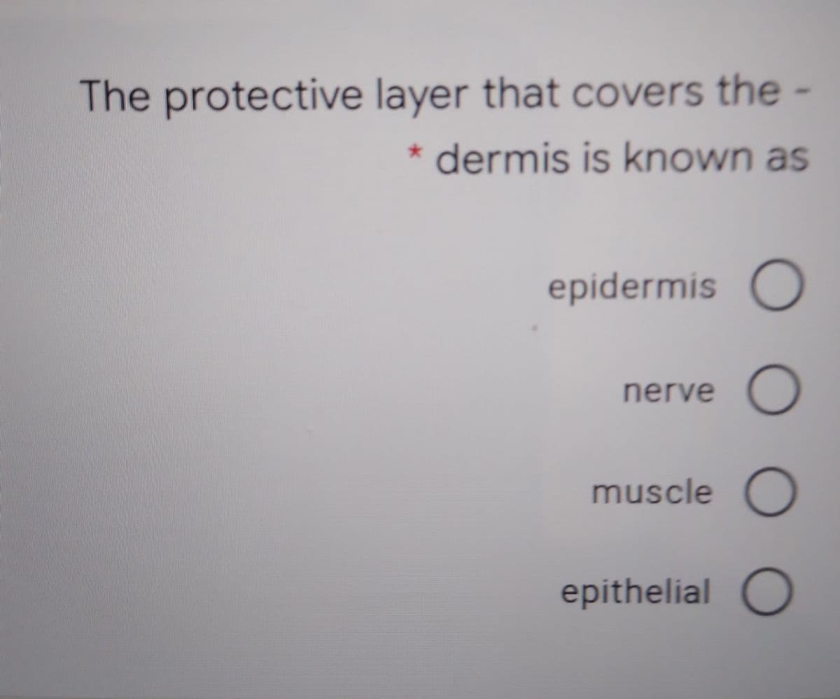 The protective layer that covers the -
* dermis is known as
epidermis O
nerve O
muscle O
epithelial
