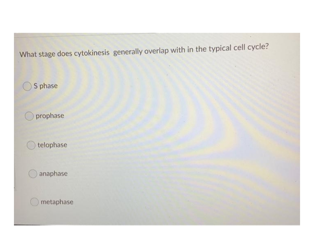 What stage does cytokinesis generally overlap with in the typical cell cycle?
OS phase
O prophase
telophase
anaphase
metaphase
