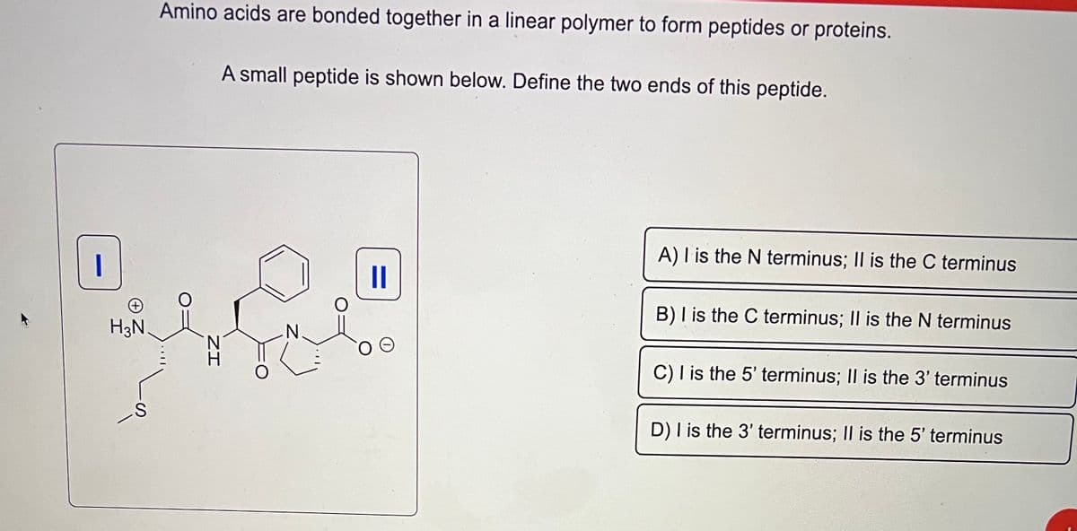 |
H3N.
S
Amino acids are bonded together in a linear polymer to form peptides or proteins.
O
ZI
A small peptide is shown below. Define the two ends of this peptide.
O
N
O
II
A) I is the N terminus; II is the C terminus
B) I is the C terminus; II is the N terminus
C) I is the 5' terminus; II is the 3' terminus
D) I is the 3' terminus; II is the 5' terminus