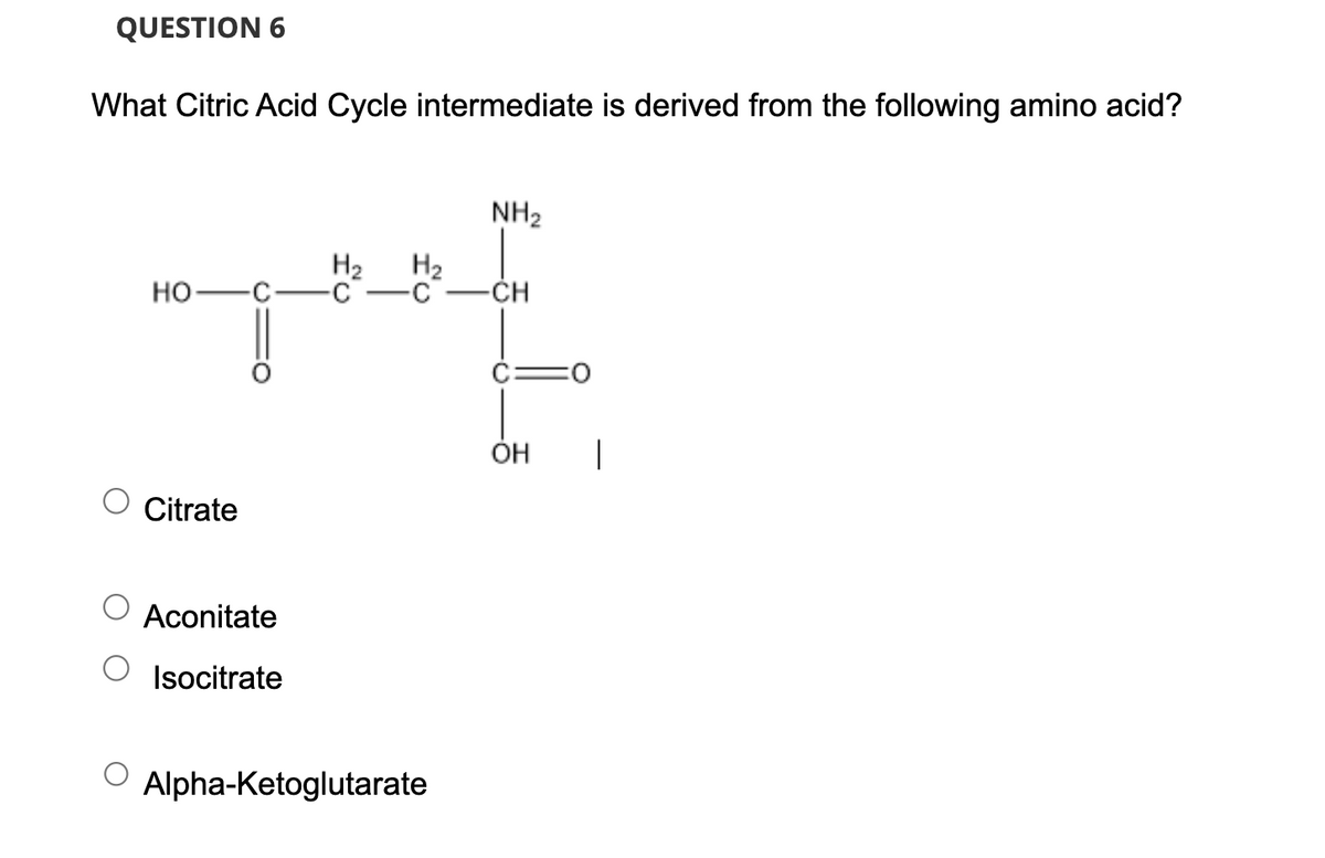 QUESTION 6
What Citric Acid Cycle intermediate is derived from the following amino acid?
HO
Citrate
Aconitate
Isocitrate
NH₂
H₂ H₂
-C -C -CH
Alpha-Ketoglutarate
OH |