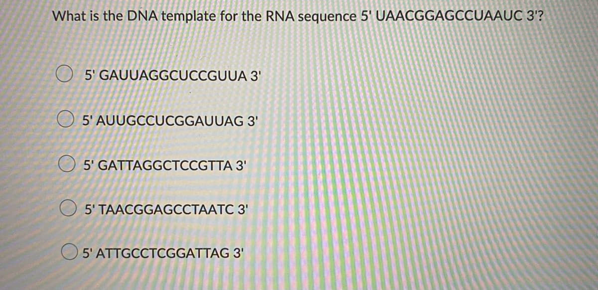 What is the DNA template for the RNA sequence 5' UAACGGAGCCUAAUC 3'?
O 5' GAUUAGGCUCCGUUA 3'
O 5' AUUGCCUCGGAUUAG 3'
5' GATTAGGCTCCGTTA 3'
5' TAACGGAGCCTAATC 3'
O 5'ATTGCCTCGGATTAG 3'
