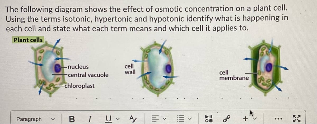 The following diagram shows the effect of osmotic concentration on a plant cell.
Using the terms isotonic, hypertonic and hypotonic identify what is happening in
each cell and state what each term means and which cell it applies to.
Plant cells
cell
wall
-nucleus
cell
membrane
-central vacuole
-chloroplast
Paragraph
B I
U v A
!!!
lili
