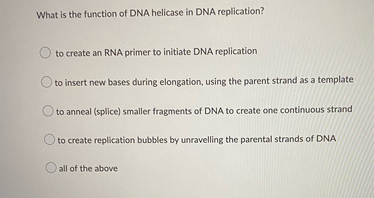 What is the function of DNA helicase in DNA replication?
to create an RNA primer to initiate DNA replication
O to insert new bases during elongation, using the parent strand as a template
O to anneal (splice) smaller fragments of DNA to create one continuous strand
to create replication bubbles by unravelling the parental strands of DNA
O all of the above
