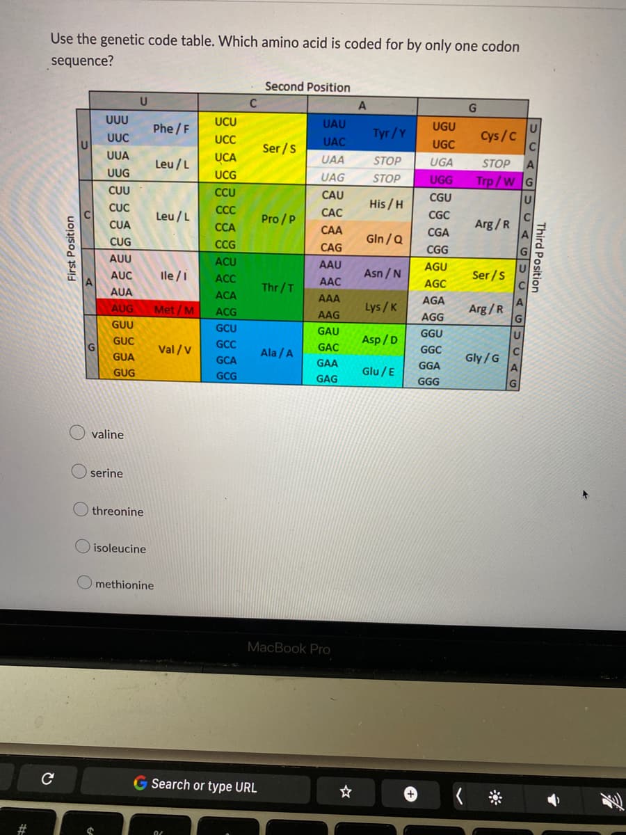 Use the genetic code table. Which amino acid is coded for by only one codon
sequence?
Second Position
U
A
G
UUU
Phe /F
UCU
UAU
UGU
UUC
Tyr/Y
Cys/C
UCC
UAC
UGC
Ser /s
UUA
Leu /L
UCA
UAA
STOP
UGA
STOP
UUG
UCG
UAG
STOP
UGG
CUU
CCU
CAU
CGU
CỤC
His / H
Leu /L
CC
САС
Pro / P
CGC
CUA
ССА
Arg/R
CAA
CGA
CUG
Gln /Q
CCG
CAG
CGG
AUU
ACU
AAU
AGU
AUC
le /i
ACC
Asn / N
Ser /S
Thr/T
AAC
AGC
AUA
ACA
AAA
AGA
AUG
Met / M
ACG
Lys/K
Arg/R
AAG
AGG
GUU
GCU
GAU
GGU
GUC
Asp/ D
G
Val /v
GCC
Ala / A
GAC
GGC
GUA
GCA
Gly/G
GAA
GGA
GUG
GCG
Glu /E
GAG
GGG
valine
serine
threonine
isoleucine
methionine
MacBook PrO
G Search or type URL
+,
#3
Third Position
SCAG UCAGU CAGU CA
First Position
