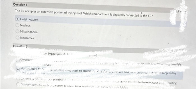 Question 1
The ER occupies an extensive portion of the cytosol. Which compartment is physically connected to the ER?
Golgi network
Nucleus
Mitochondria
Lysosomes
Question 5
Glycosv
Mat, iully-f
on impact protein fold
ces
Gistycosylated, so proteine ticking y
Capelaria
such as calner
Ovosylation prevents wagine residues from interfe
pation are markea e unfolded
forming disulfide
targeted by
duse proteins to thereby assist folding