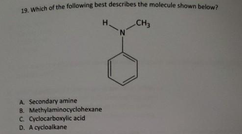 19. Which of the following best describes the molecule shown below?
H.
CH3
N.
A. Secondary amine
8. Methylaminocyclohexane
C. Cyclocarboxylic acid
D. A cycloalkane
