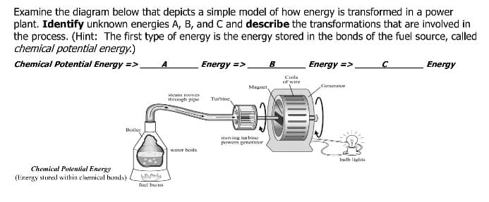 Examine the diagram below that depicts a simple model of how energy is transformed in a power
plant. Identify unknown energies A, B, and C and describe the transformations that are involved in
the process. (Hint: The first type of energy is the energy stored in the bonds of the fuel source, called
chemical potential energy.)
Chemical Potential Energy =>.
Boiler
Chemical Potential Energy
(Energy stored within chernical bonds)
A
fuel bus
steam moves
through pipe
water boils
Energy => B
Turbine,
Magnet
maving turbine
powers generator
Coils
of wire
Energy =
=>
Generator
bulb lights
с
Energy