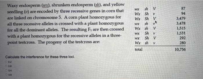 Waxy endosperm (wx), shrunken endosperm (sh), and yellow
seedling (v) are encoded by three recessive genes in corn that
are linked on chromosome 5. A corn plant homozygous for
all three recessive alleles is crossed with a plant homozygous
for all the dominant alleles. The resulting Fi are then crossed
with a plant homozygous for the recessive alleles in a three-
point testcross. The progeny of the testcross are:
wx
sh V
87
Wx Sh v
94
Wx Sh V
3,479
sh v*
3,478
wx
1,515
1,531
292
Wx sh
V
Sh
wx
Sh V
Wx sh
280
total
10,756
Calculate the interference for these three loci.
02
0.8
0.4
0.6
