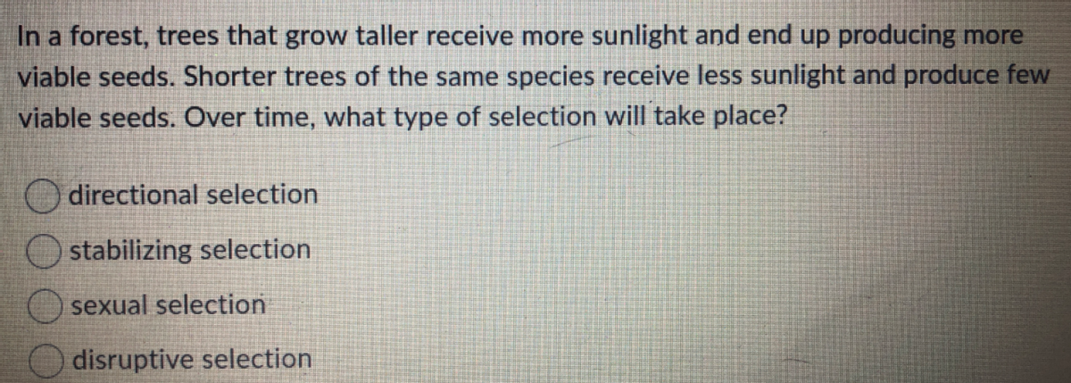 In a forest, trees that grow taller receive more sunlight and end up producing more
viable seeds. Shorter trees of the same species receive less sunlight and produce few
viable seeds. Over time, what type of selection will take place?
directional selection
stabilizing selection
sexual selection
disruptive selection
