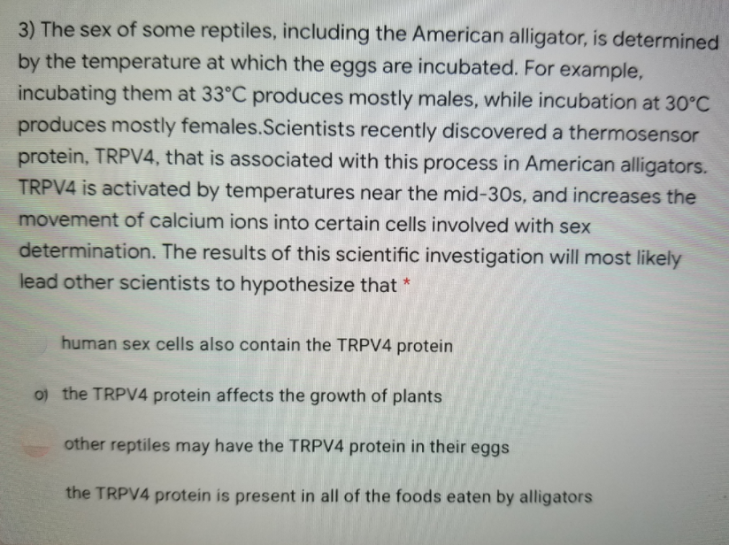 3) The sex of some reptiles, including the American alligator, is determined
by the temperature at which the eggs are incubated. For example,
incubating them at 33°C produces mostly males, while incubation at 30°C
produces mostly females.Scientists recently discovered a thermosensor
protein, TRPV4, that is associated with this process in American alligators.
TRPV4 is activated by temperatures near the mid-30s, and increases the
movement of calcium ions into certain cells involved with sex
determination. The results of this scientific investigation will most likely
lead other scientists to hypothesize that *
human sex cells also contain the TRPV4 protein
0) the TRPV4 protein affects the growth of plants
other reptiles may have the TRPV4 protein in their eggs
the TRPV4 protein is present in all of the foods eaten by alligators

