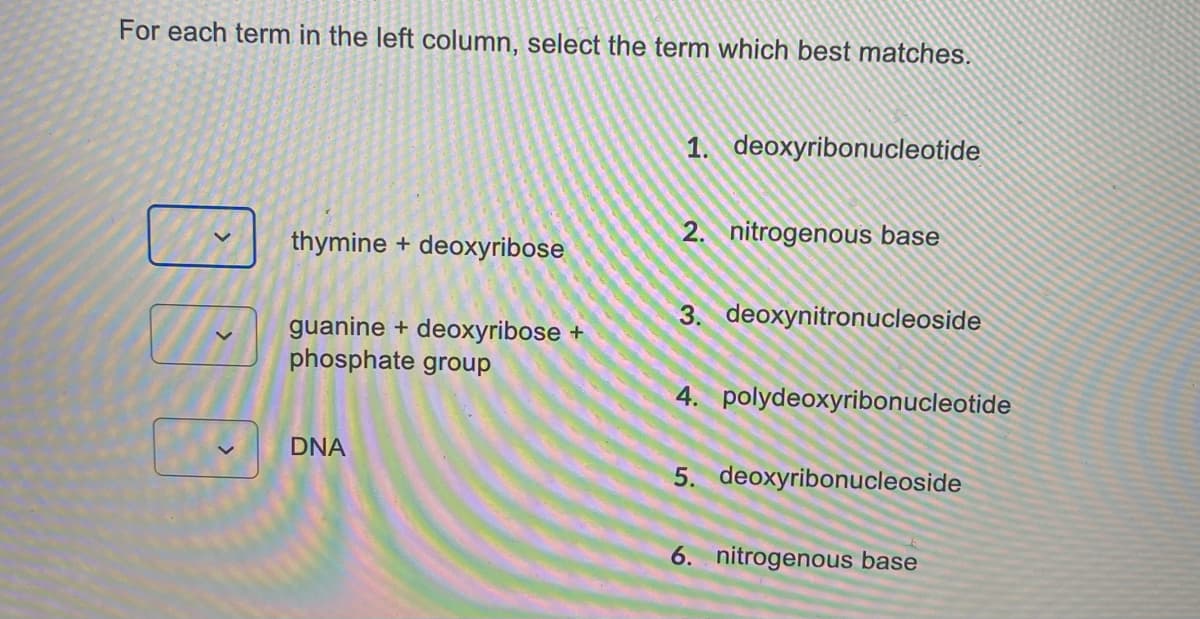 For each term in the left column, select the term which best matches.
1. deoxyribonucleotide
2. nitrogenous base
thymine + deoxyribose
3. deoxynitronucleoside
guanine + deoxyribose +
phosphate group
4. polydeoxyribonucleotide
DNA
5. deoxyribonucleoside
6. nitrogenous base
