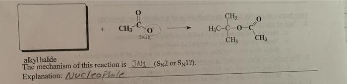 CH3
CH, Co
H;C-C-0 C
SN2
CH3
CH3
alkyl halide
The mechanism of this reaction is SN (Sy2 or Sy1?).
Explanation: Nucleophile
