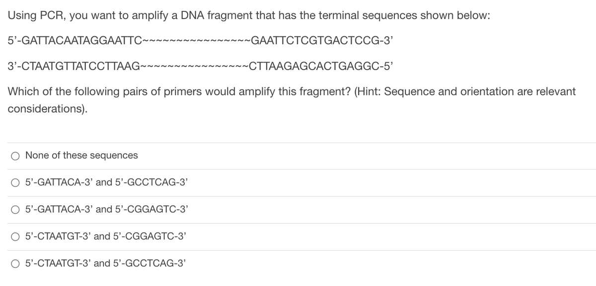 Using PCR, you want to amplify a DNA fragment that has the terminal sequences shown below:
5'-GATTACAATAGGAATTC~~~~~~~
~~~~~~GAATTCTCGTGACTCCG-3'
3'-CTAATGTTATCCTTAAG~~
~~CTTAAGAGCACTGAGGC-5'
Which of the following pairs of primers would amplify this fragment? (Hint: Sequence and orientation are relevant
considerations).
O None of these sequences
O 5'-GATTACA-3' and 5'-GCCTCAG-3'
O 5'-GATTACA-3' and 5'-CGGAGTC-3'
O 5'-CTAATGT-3' and 5'-CGGAGTC-3'
O 5'-CTAATGT-3' and 5'-GCCTCAG-3'