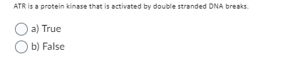 ATR is a protein kinase that is activated by double stranded DNA breaks.
a) True
Ob) False