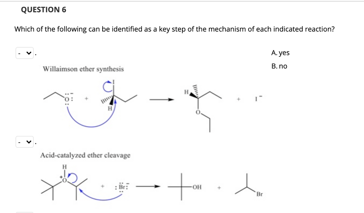QUESTION 6
Which of the following can be identified as a key step of the mechanism of each indicated reaction?
А. yes
B. no
Willaimson ether synthesis
H.
H
Acid-catalyzed ether cleavage
H
:Br:
Br
