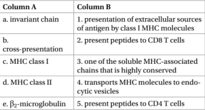 Column A
Column B
1. presentation of extracellular sources
of antigen by class I MHC molecules
2. present peptides to CD8 T cells
a. invariant chain
b.
cross-presentation
c. MHC class I
3. one of the soluble MHC-associated
|chains that is highly conserved
d. MHC class II
4. transports MHC molecules to endo-
cytic vesicles
e. B2-microglobulin 5. present peptides to CD4 T cells
