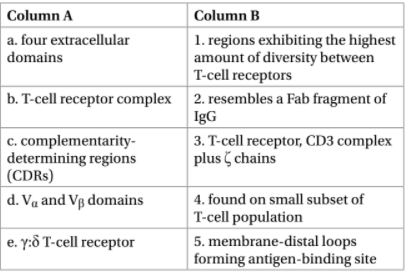 Column A
Column B
a. four extracellular
domains
1. regions exhibiting the highest
amount of diversity between
T-cell receptors
b. T-cell receptor complex 2. resembles a Fab fragment of
IgG
c. complementarity-
determining regions
(CDRS)
3. T-cell receptor, CD3 complex
plus chains
d. Vą and Vp domains
4. found on small subset of
T-cell population
e. y:8 T-cell receptor
5. membrane-distal loops
forming antigen-binding site
