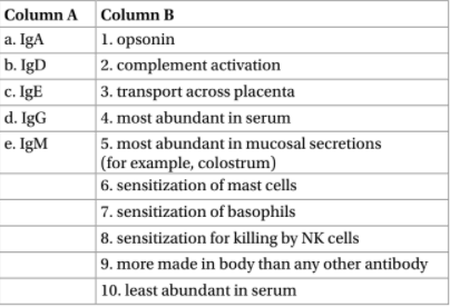 Column A Column B
a. IgA
1. opsonin
b. IgD
2. complement activation
c. IgE
d. IgG
3. transport across placenta
4. most abundant in serum
e. IgM
5. most abundant in mucosal secretions
| (for example, colostrum)
6. sensitization of mast cells
7. sensitization of basophils
8. sensitization for killing by NK cells
9. more made in body than any other antibody
10. least abundant in serum
