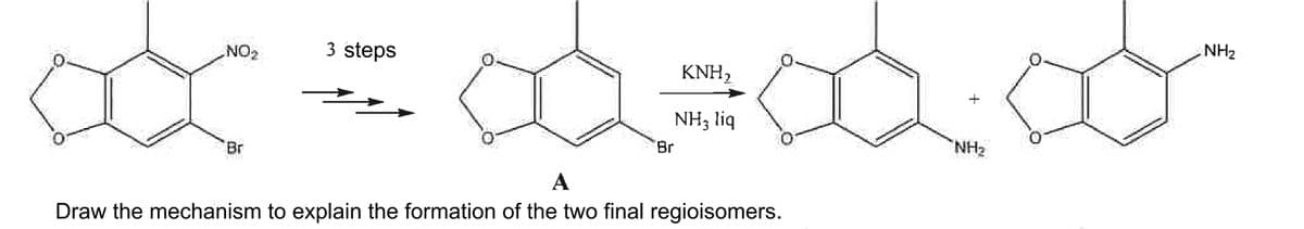-NO-₂
Br
3 steps
KNH₂
NH3 liq
Br
A
Draw the mechanism to explain the formation of the two final regioisomers.
NH₂
NH₂
