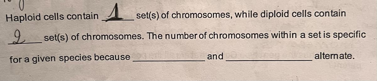 set(s) of chromosomes, while diploid cells contain
set(s) of chromosomes. The number of chromosomes within a set is specific
Haploid cells contain
for a given species because
and
alternate.