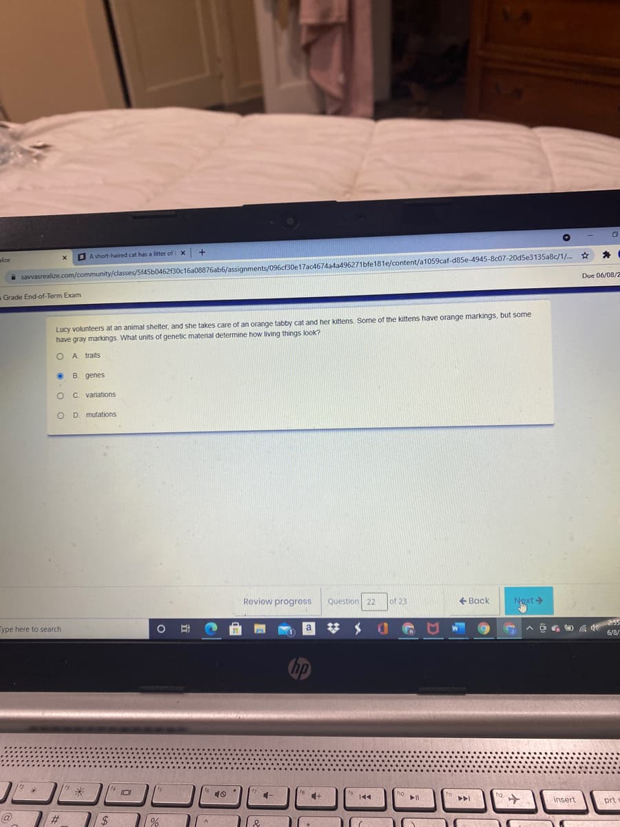 S A short-haired cat has a litter of
aize
i savvasrealize.com/community/classes/5f45b0462f30c16a08876ab6/assignments/096cf30e17ac4674a4a496271bfe181e/content/a1059caf-d85e-4945-8c07-20d5e3135a8c/1/..
Due 06/08/2
Grade End-of-Term Exam
Lucy volunteers at an animal shelter, and she takes care of an orange tabby cat and her kittens. Some of the kittens have orange markings, but some
have gray markings. What units of genetic material determine how living things look?
A traits
B.
genes
variations
D. mutations
Review progress
Question 22
of 23
+ Back
Next >
d 255
6/8/
ype here to search
米
10
II
insert
prt
@
2$
