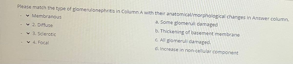 Please match the type of glomerulonephritis in Column A with their anatomical/morphological changes in Answer column.
v Membranous
a. Some glomeruli damaged
v 2. Diffuse
b. Thickening of basement membrane
v 3. Sclerotic
C. All glomeruli damaged.
v 4. Focal
d. Increase in non-cellular component
