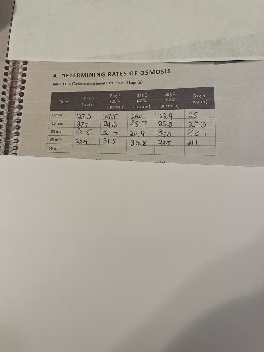 A. DETERMINING RATES OF OSMOSIS
Table 11-1. Osmosis experiment data: mass of bags (g)
Time
0 min
15 min
30 min
45 min
60 min
Bag 1
(water)
27.3
27.7
28.5
28.4
Bag 2
(20%
sucrose)
27.5
29.6
30.2
31.5
Bag 3
(40%
sucrose)
26.4
287
29.9
30.8
Bag 4
(60%
sucrose)
229
25.8
28.0
29.5
Bag 5
(water)
25
243
23.1
21,1