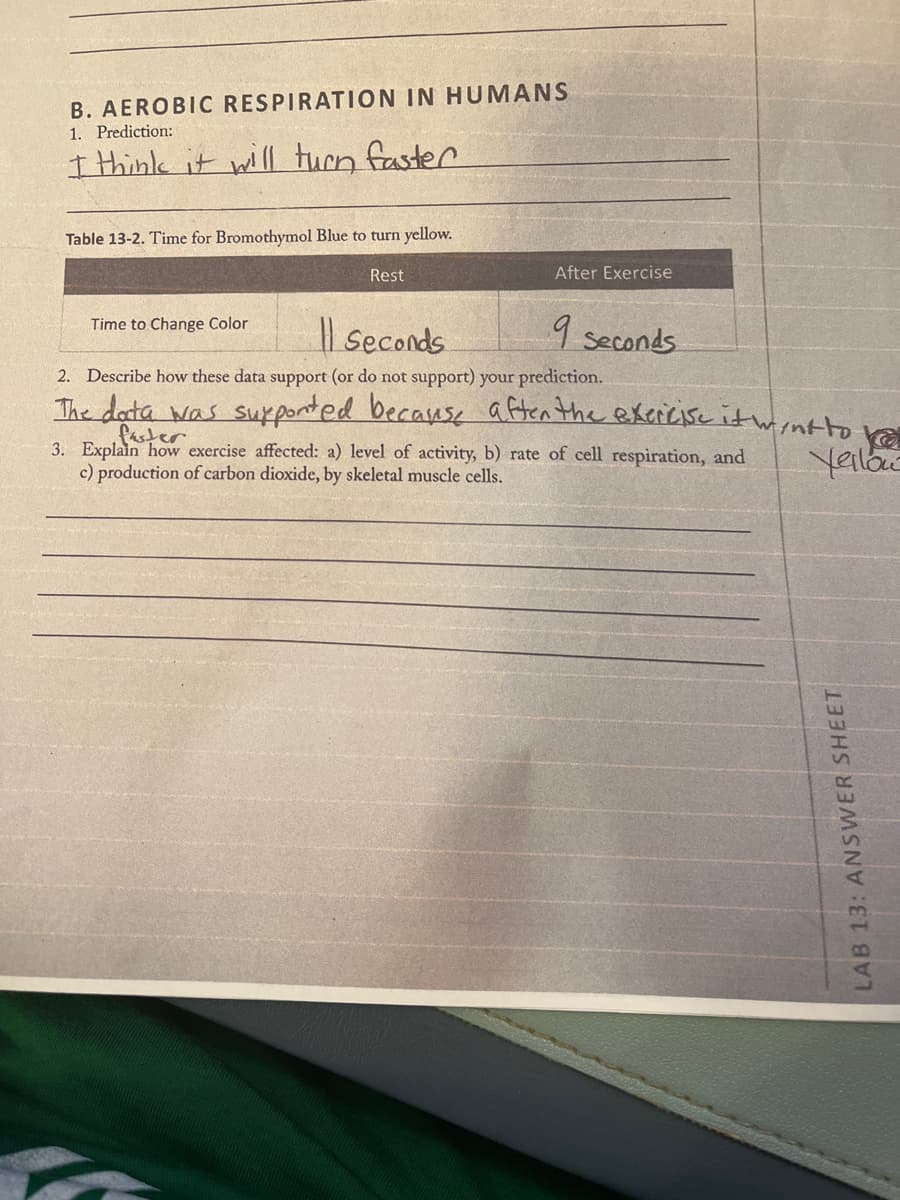 B. AEROBIC RESPIRATION IN HUMANS
1. Prediction:
I think it will turn faster
Table 13-2. Time for Bromothymol Blue to turn yellow.
Time to Change Color
Rest
After Exercise
9 seconds
Seconds
2. Describe how these data support (or do not support) your prediction.
The data was supported because after the exercise it went to
faster.
3. Explain how exercise affected: a) level of activity, b) rate of cell respiration, and
c) production of carbon dioxide, by skeletal muscle cells.
ja
Yellow
LAB 13: ANSWER SHEET