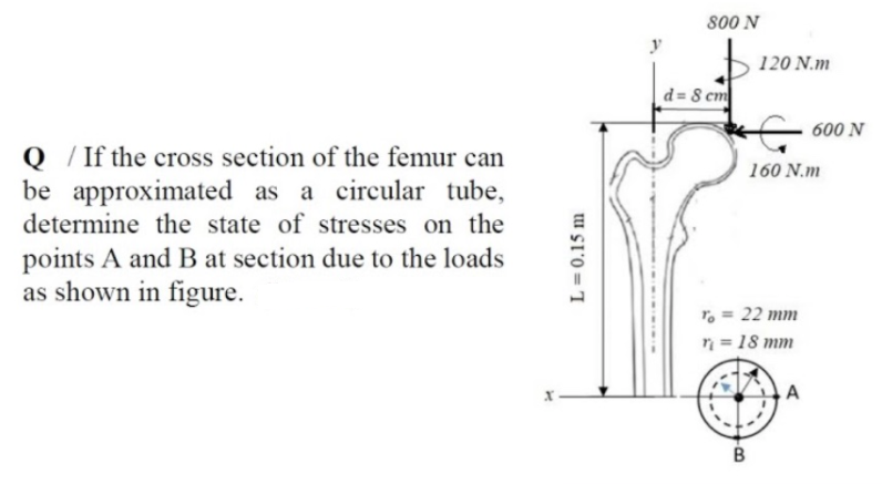 800 N
120 N.m
d = 8 cm
600 N
Q /If the cross section of the femur can
be approximated as a circular tube,
determine the state of stresses on the
160 N.m
points A and B at section due to the loads
as shown in figure.
T. = 22 mm
n = 18 mm
tu Sl'o = I
