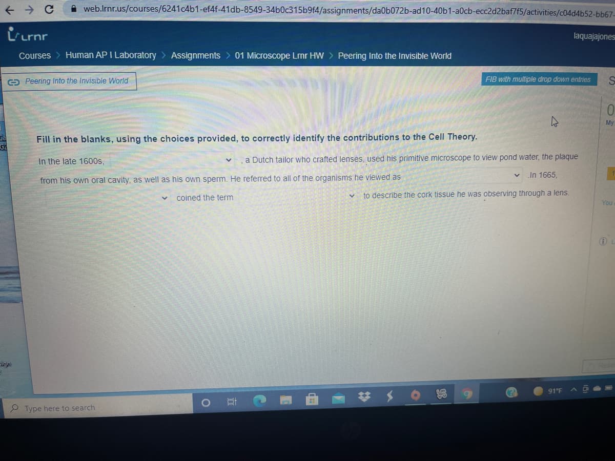 A web.lrnr.us/courses/6241c4b1-ef4f-41db-8549-34b0c315b9f4/assignments/da0b072b-ad10-40b1-a0cb-ecc2d2baf7f5/activities/c04d4b52-bb67-
irrnr
laquajajones
Courses > Human AP I Laboratory > Assignments > 01 Microscope Lmr HW > Peering Into the Invisible World
C9 Peering Into the Invisible World
FIB with muitiple drop down entries
0.
My
Fill in the blanks, using the choices provided, to correctly identify the contributions to the Cell Theory.
G2
In the late 1600s,
a Dutch tailor who crafted lenses, used his primitive microscope to view pond water, the plaque
In 1665,
from his own oral cavity, as well as his own sperm. He referred to all of the organisms he viewed as
coined the term
to describe the cork tissue he was observing through a lens.
You
sign
91°F
P Type here to search
