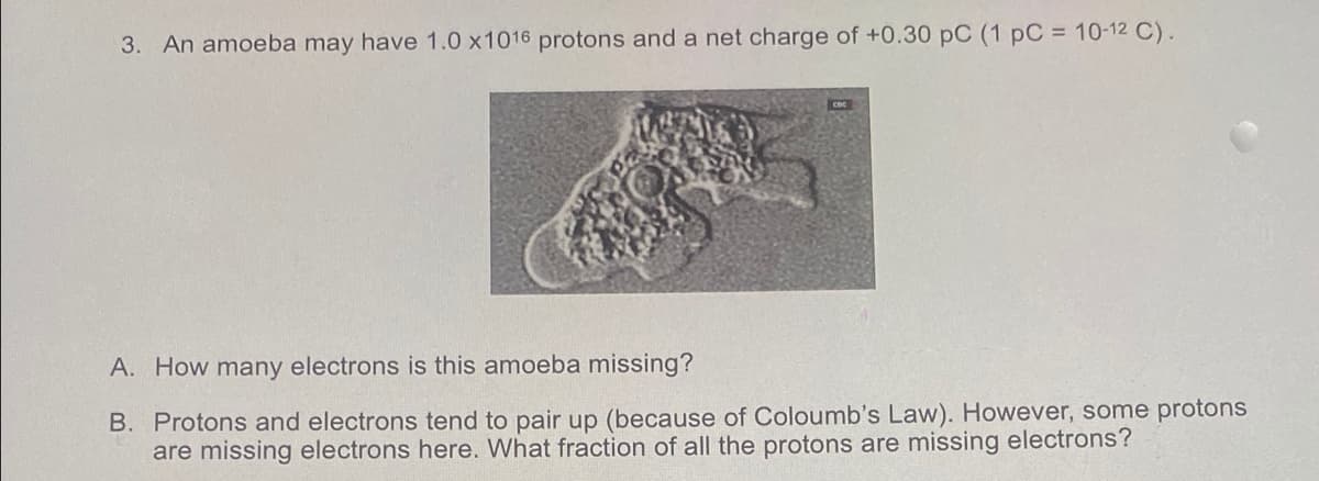 3. An amoeba may have 1.0 x1016 protons and a net charge of +0.30 pC (1 pC = 10-12 C).
A. How many electrons is this amoeba missing?
B. Protons and electrons tend to pair up (because of Coloumb's Law). However, some protons
are missing electrons here. What fraction of all the protons are missing electrons?