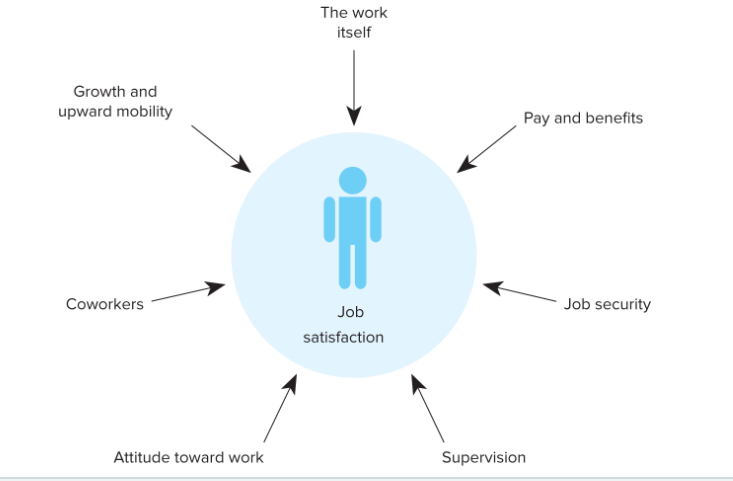 The work
itself
Growth and
upward mobility
Pay and benefits
Coworkers
Job security
Job
satisfaction
Attitude toward work
Supervision
