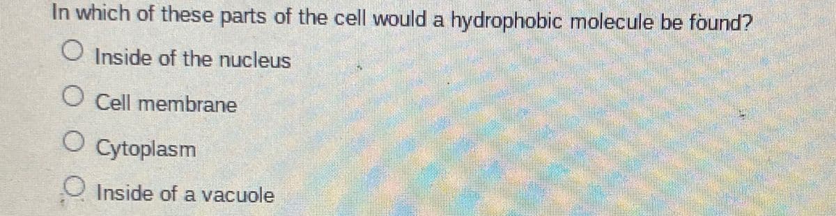 In which of these parts of the cell would a hydrophobic molecule be found?
O Inside of the nucleus
O Cell membrane
O Cytoplasm
O Inside of a vacuole
