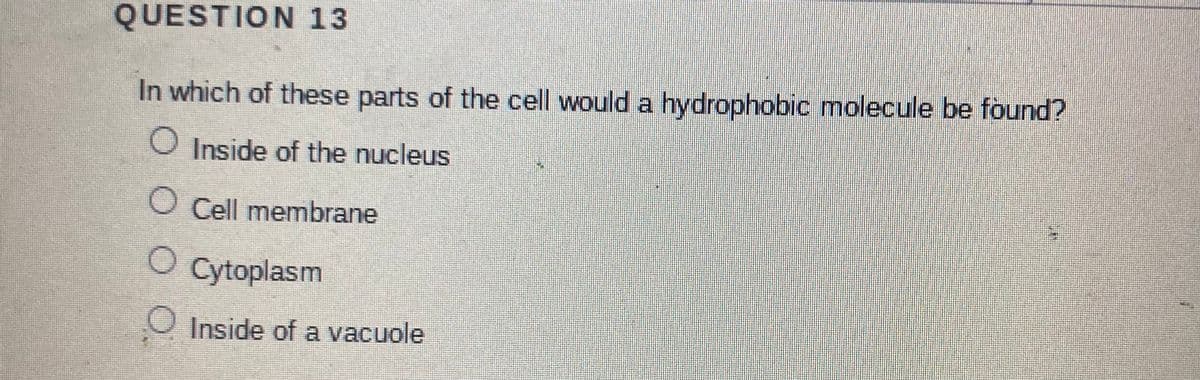 QUESTION 13
In which of these parts of the cell would a hydrophobic molecule be found?
O Inside of the nucleus
O Cell membrane
O Cytoplasm
O Inside of a vacuole
