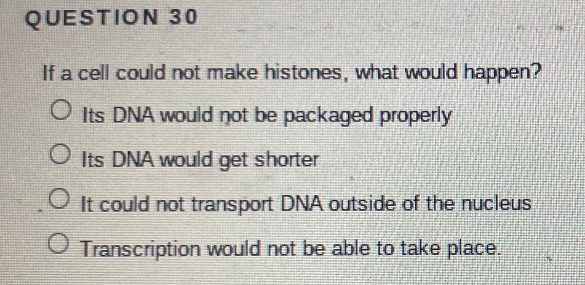 QUESTION 30
If a cell could not make histones, what would happen?
O Its DNA would not be packaged properly
O Its DNA would get shorter
O It could not transport DNA outside of the nucleus
Transcription would not be able to take place.
