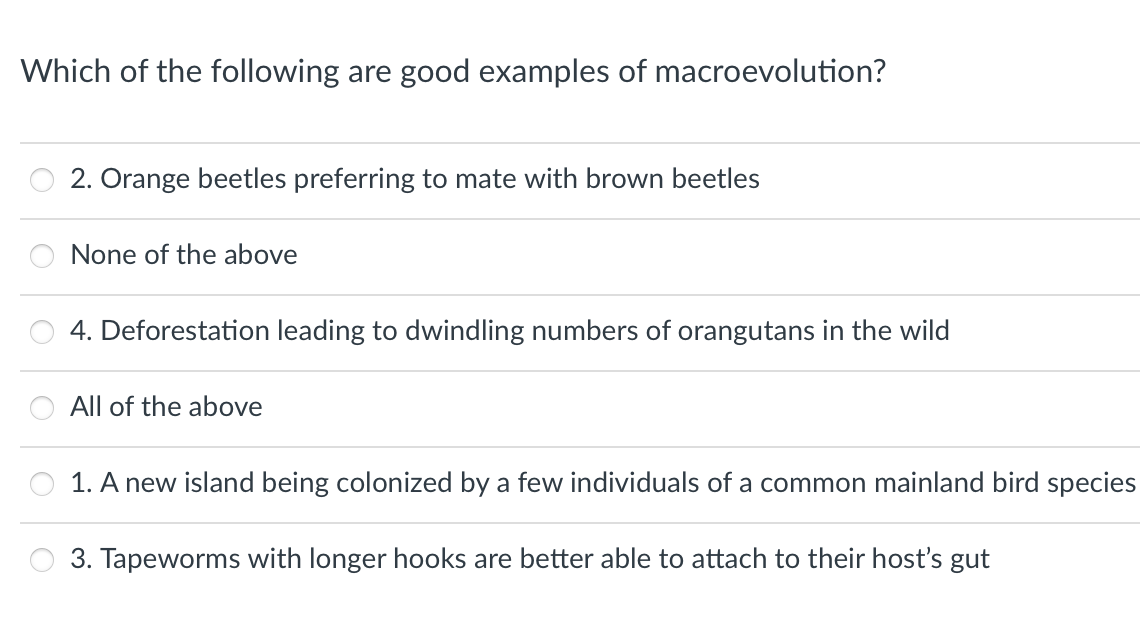 Which of the following are good examples of macroevolution?
2. Orange beetles preferring to mate with brown beetles
None of the above
4. Deforestation leading to dwindling numbers of orangutans in the wild
All of the above
1. A new island being colonized by a few individuals of a common mainland bird species
3. Tapeworms with longer hooks are better able to attach to their host's gut
