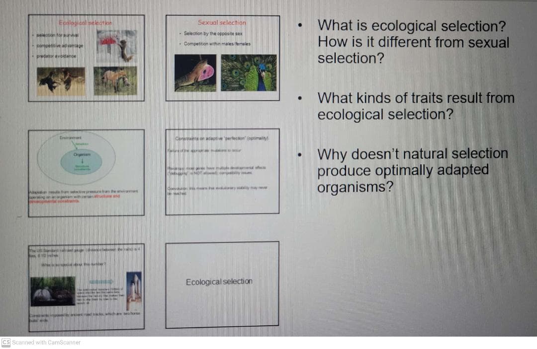 Ecalogical seleation
Sexual selection
What is ecological selection?
How is it different from sexual
selention torsurviva
- Selection by the opposite sex
- pormpetitive ad vantage
Competition within males females
predator avoidanoe
selection?
What kinds of traits result from
ecological selection?
Erirae
Constraints on adaptive pertecton (optmali
Why doesn't natural selection
produce optimally adapted
organisms?
Oren
ldaa NOT cop
Adigsdon re om civep eb he numet
n ognawihrntruclure and
e
. r e e
Tw u n
Ecological selection
oeed .ha o hore
cs Scanned vwith CamScanner
