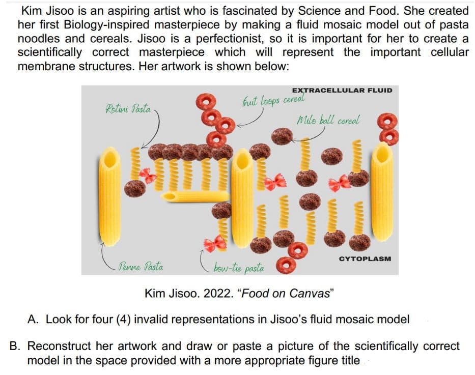 Kim Jisoo is an aspiring artist who is fascinated by Science and Food. She created
her first Biology-inspired masterpiece by making a fluid mosaic model out of pasta
noodles and cereals. Jisoo is a perfectionist, so it is important for her to create a
scientifically correct masterpiece which will represent the important cellular
membrane structures. Her artwork is shown below:
EXTRACELLULAR FLUID
Rotini Pasta
frut loops cereal
Milo ball cereal
00%
www
CYTOPLASM
Penne Pasta
bow-tie pasta
Kim Jisoo. 2022. "Food on Canvas"
A. Look for four (4) invalid representations in Jisoo's fluid mosaic model
B. Reconstruct her artwork and draw or paste a picture of the scientifically correct
model in the space provided with a more appropriate figure title