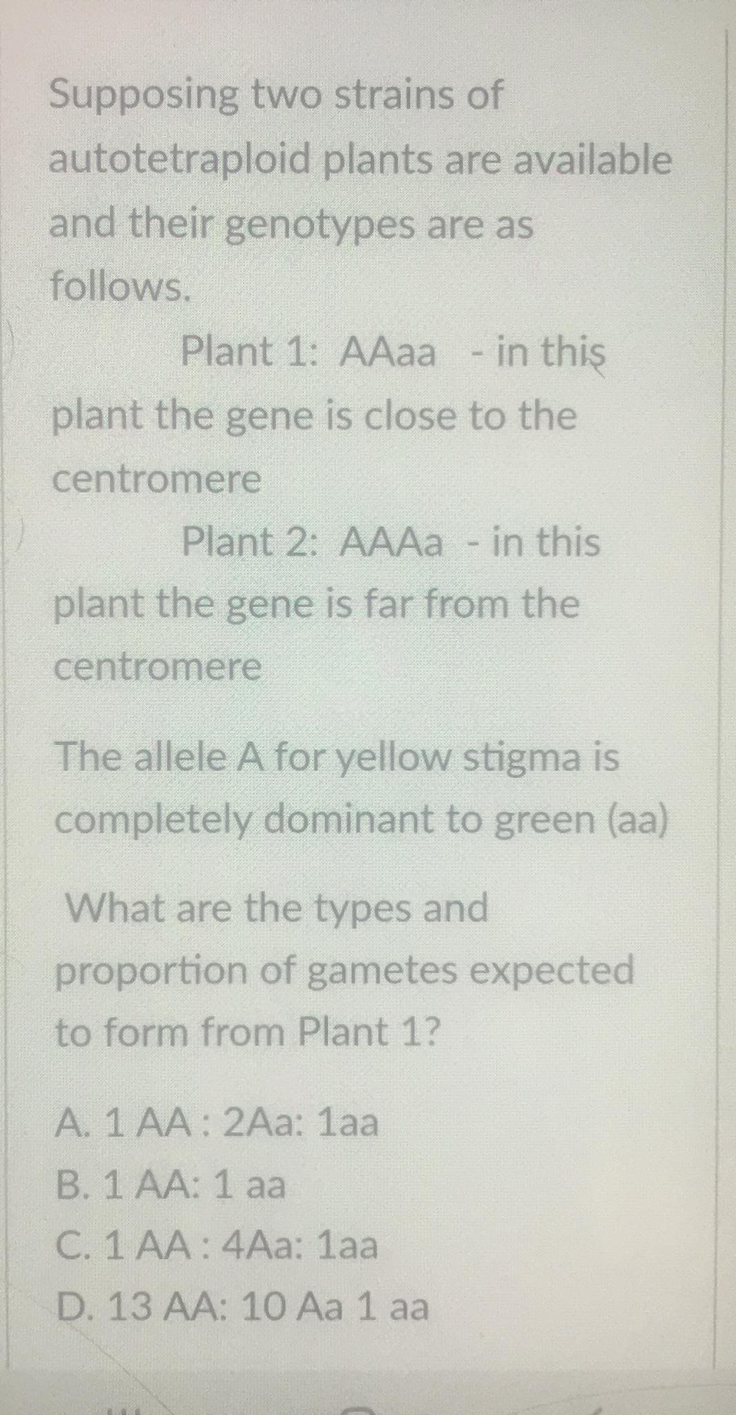 Supposing two strains of
autotetraploid plants are available
and their genotypes are as
follows.
Plant 1: AAaa - in this
plant the gene is close to the
centromere
Plant 2: AAAa - in this
plant the gene is far from the
centromere
The allele A for yellow stigma is
completely dominant to green (aa)
What are the types and
proportion of gametes expected
to form from Plant 1?
A. 1 AA: 2Aa: 1aa
B. 1 AA: 1 aa
C. 1 AA: 4Aa: 1aa
D. 13 AA: 10 Aa 1 aa