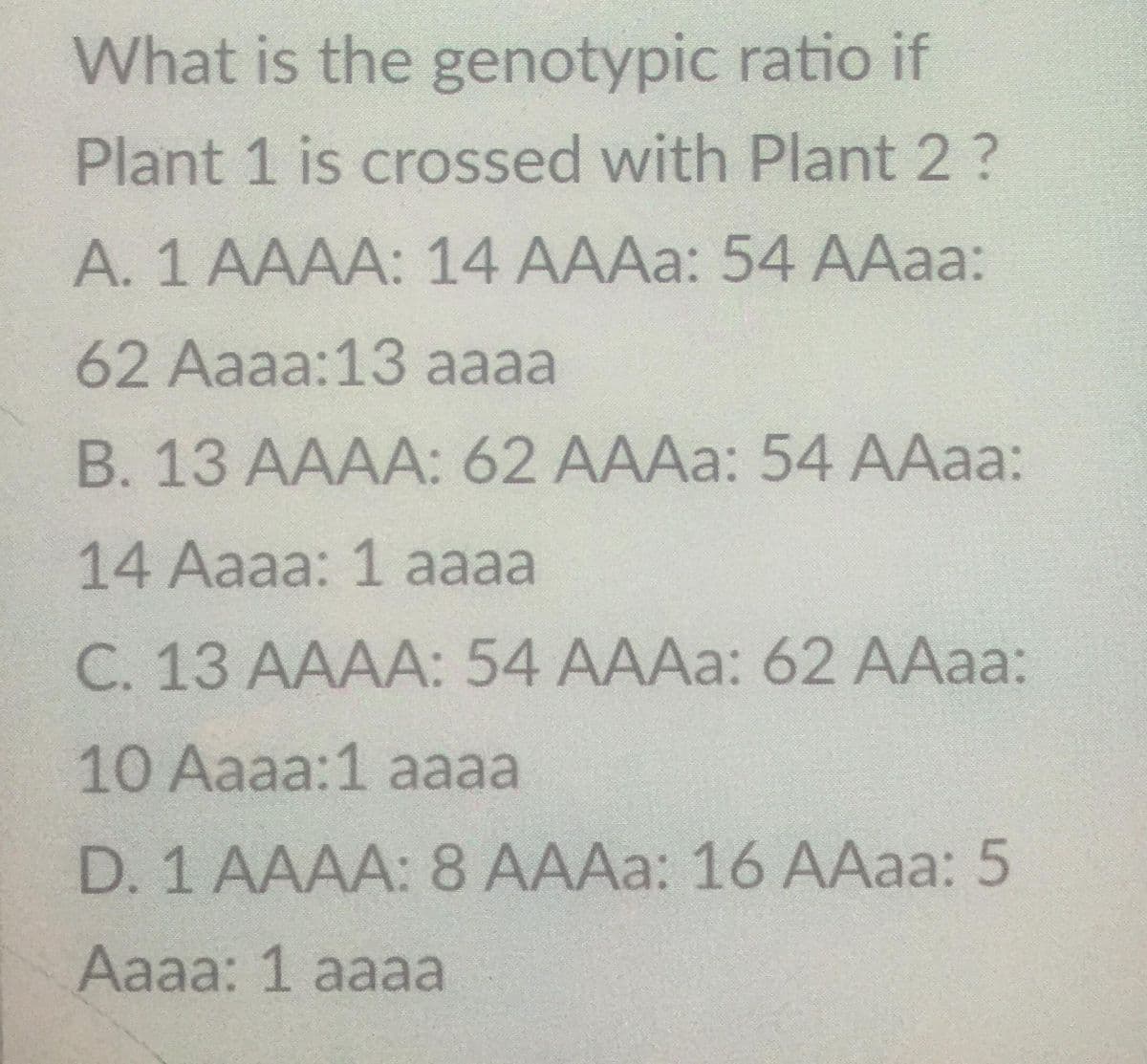 What is the
genotypic ratio if
Plant 1 is crossed with Plant 2 ?
A. 1 AAAA: 14 AAAa: 54 AAaa:
62 Aaaa:13 aaaa
B. 13 AAAA: 62 AAAa: 54 AAaa:
14 Aaaa: 1 aaaa
C. 13 AAAA: 54 AAAa: 62 AAaa:
10 Aaaa:1 aaaa
D. 1 AAAA: 8 AAAa: 16 AAaa: 5
Aaaa: 1 aaaa