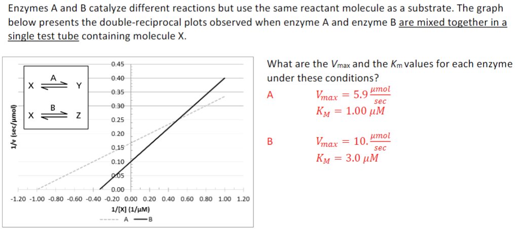 1/v (sec/μmol)
Enzymes A and B catalyze different reactions but use the same reactant molecule as a substrate. The graph
below presents the double-reciprocal plots observed when enzyme A and enzyme B are mixed together in a
single test tube containing molecule X.
X
12° 1>
0.45
0.40
Y
0.35
0.30
Z
0.25
0.20
0.15
0.10
2.05
0.00
-1.20 -1.00 -0.80 -0.60 -0.40 -0.20 0.00 0.20 0.40 0.60 0.80 1.00 1.20
1/[X] (1/μM)
A-B
What are the Vmax and the Km values for each enzyme
under these conditions?
A
Vmax
= 5.9
μmol
sec
KM
=
1.00 μΜ
B
Vmax = 10.
μmol
sec
KM = 3.0 μΜ