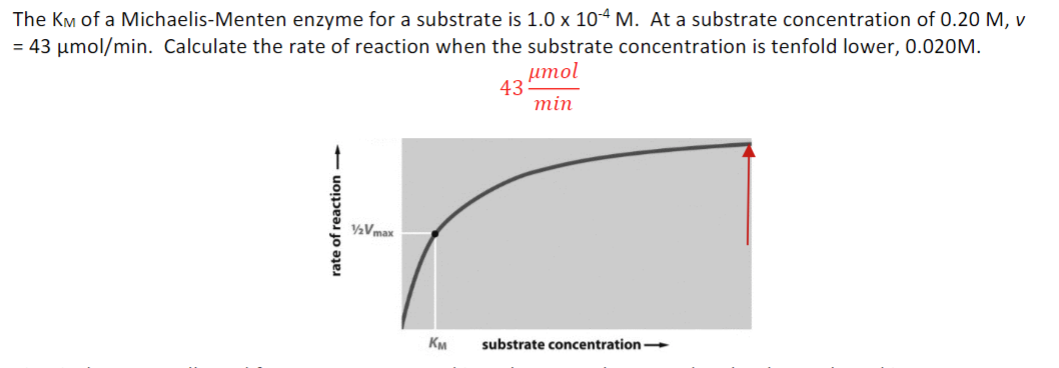 The KM of a Michaelis-Menten enzyme for a substrate is 1.0 x 104 M. At a substrate concentration of 0.20 M, v
= 43 μmol/min. Calculate the rate of reaction when the substrate concentration is tenfold lower, 0.020M.
43
μmol
min
rate of reaction →
Vmax
Км substrate concentration →