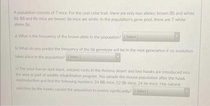 A population consists of 7 mice. For the coat color trait, there are only two alleles: brown (B) and white
(b). BB and Bb mice are brown; bb mice are white. In the population's gene pool, there are 7 white
alleles (b).
a) What is the frequency of the brown allele in the population? Select)
b) What do you predict the frequency of the bb genotype will be in the next generation if no evolution
takes place in the population? I Select |
c) The mice live on dark black, volcanic rocks in the Arizona desert and two hawks are introduced into
the area as part of wildlife rehabilitation program. You sample the mouse population after the hawk
reintroduction and find the following numbers: 24 BB mice, 52 Bb mice, 24 bb mice. Has natural
selection by the hawks caused the population to evolve significantly? I Select]

