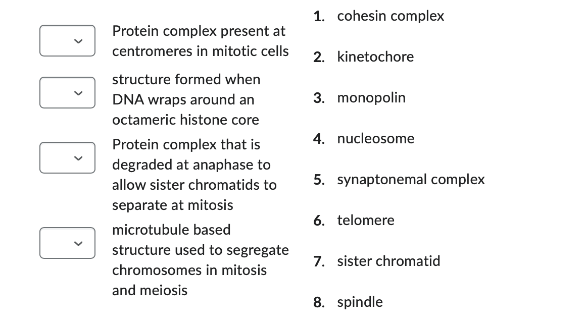 Protein complex present at
centromeres in mitotic cells
structure formed when
DNA wraps around an
octameric histone core
Protein complex that is
degraded at anaphase to
allow sister chromatids to
separate at mitosis
microtubule based
structure used to segregate
chromosomes in mitosis
and meiosis
1. cohesin complex
2. kinetochore
3. monopolin
4. nucleosome
5. synaptonemal complex
6. telomere
7. sister chromatid
8. spindle