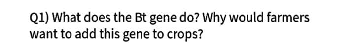Q1) What does the Bt gene do? Why would farmers
want to add this gene to crops?
