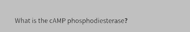 What is the CAMP phosphodiesterase?
